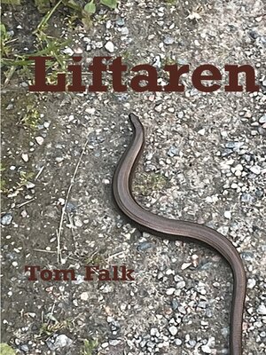 cover image of Liftaren